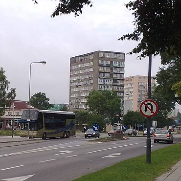 Jak zbkana owca