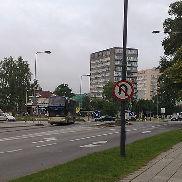 Jak zbkana owca