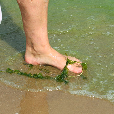 Zielona woda na plaży to nic niebezpiecznego