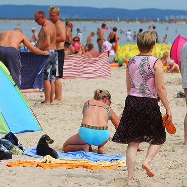Nie stosują się do zakazu wprowadzania zwierząt na plażę