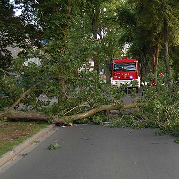 Gałąź runęła na chodnik