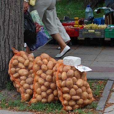 Handlują mimo zakazu