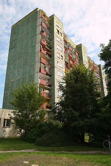 Spłonął domek dla kotów