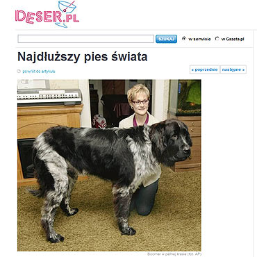 Najduszy pies wiata