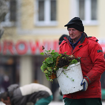 Zabrali stare rośliny. Rosły w miejscu, gdzie miała być fontanna