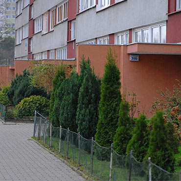 W „leningradach” nie lubią święta 11 listopada