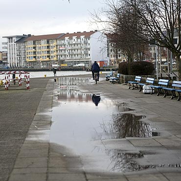 Gigantyczne kaue na chodnikach 