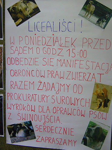 Będą manifestować w obronie maltretowanych zwierząt
