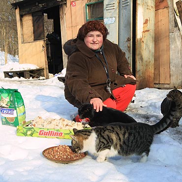Pomcie godnym kotom 