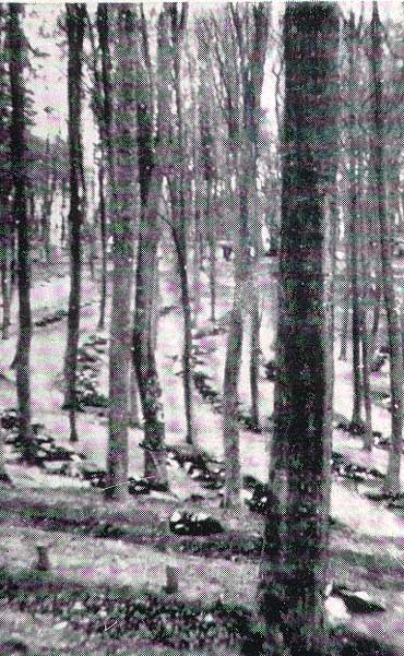 Dzień w którym spadły bomby, 12. marca 1945 r