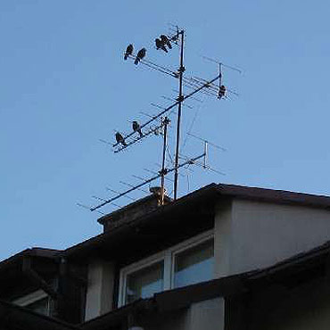 Kołobrzeg – Świnoujście w TV 1967 r.