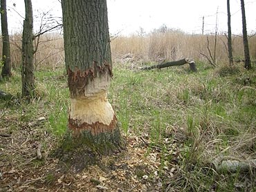 Czas rozwinąć żagle