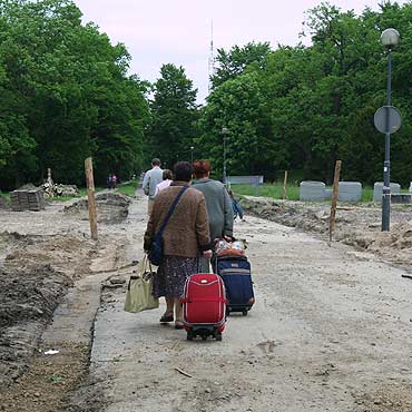 Rewitalizujc park, zniszczyli ziele 