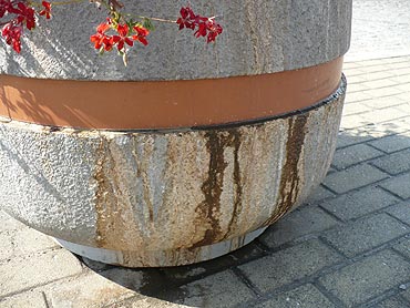 Zniszczono kwiaty w centrum miasta