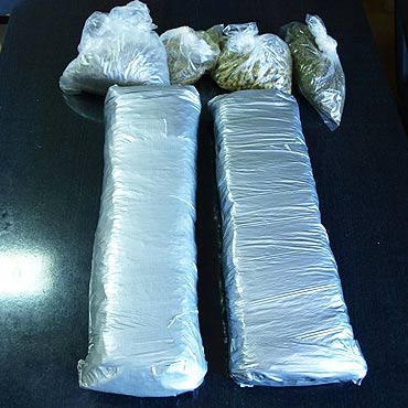 Policjanci zabezpieczyli 1,5 kg marihuany