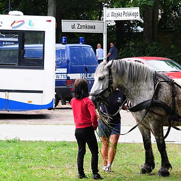Doroka zderzya si <br>z autobusem