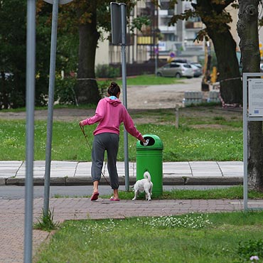 Pokazujemy jak sprzątać po swoich psach
