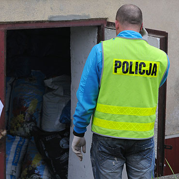 Zlikwidowano plantację marihuany