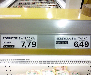 wity Tacek - od kurczakw? 
