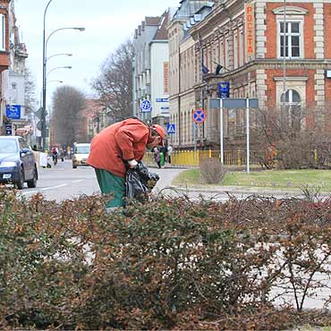 Zielony skwer na placu Wolnoci 