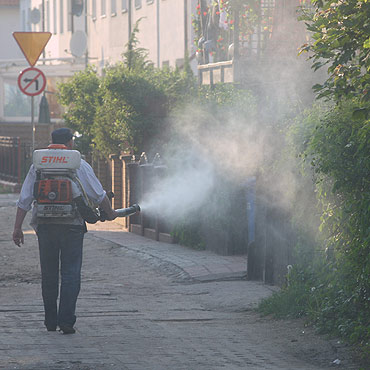 Ju wiosna! Co z akcj odkomarzania miasta?