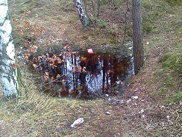 Płuczą cysterny z budowy LNG w lesie?
