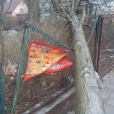 Silny wiatr amie drzewa jak zapaki.<br>Zobacz film od czytelnika!