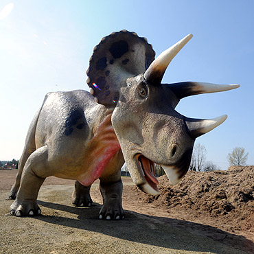 W Dargobdzu powstaje wielki park dinozaurw. Zobacz film!