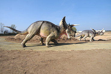 W Dargobdzu powstaje wielki park dinozaurw. Zobacz film!