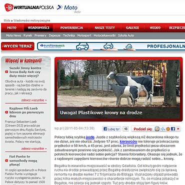 Plastikowe krowy sposobem na piratw drogowych