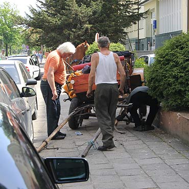 Traktor wystraszy konia 