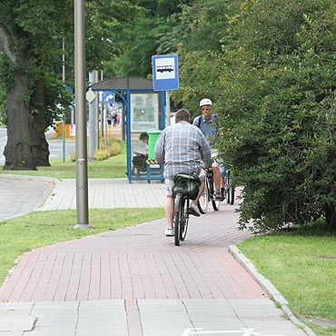 Uciliwe krzaki przeszkadzaj rowerzystom