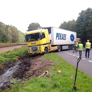 Mewa roztrzaskała się na szybie tira. Kierowca wjechał do rowu