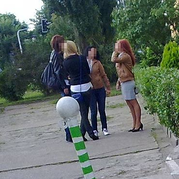 Pal, przeklinaj i miec 