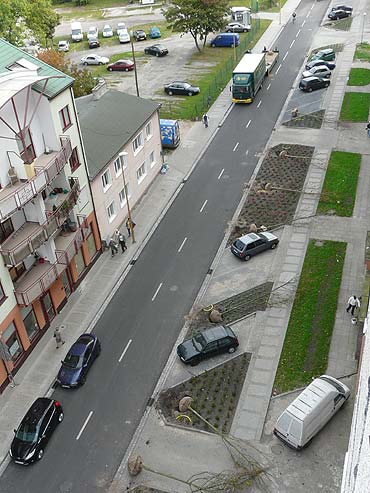 Posadzili drzewa za niemale 40 tysicy zotych 