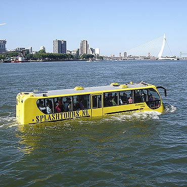 W Rotterdamie wybrali autobus. Zobacz film!