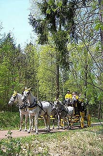 Uznamskie drogi