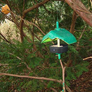 Mądre dokarmianie ptaków zimą – poradnik od BirdSystem