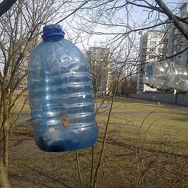 Mądre dokarmianie ptaków zimą – poradnik od BirdSystem