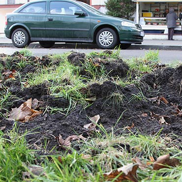 Rozryta promenada ju nikogo nie dziwi