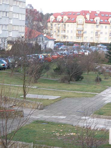 Wyrzucanie jedzenia za okno to miecenie, a nie dokarmianie zwierzt! 