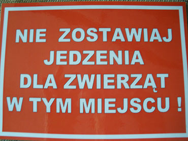 Wyrzucanie jedzenia za okno to miecenie, a nie dokarmianie zwierzt! 