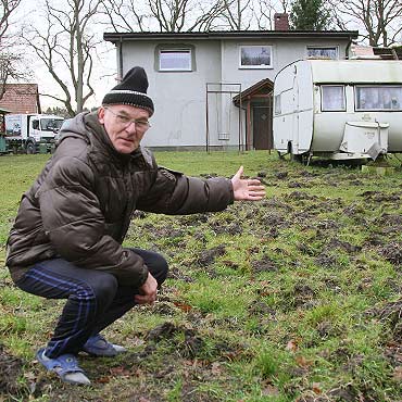 Dziki terroryzuj mieszkacw wyspy Karsibr