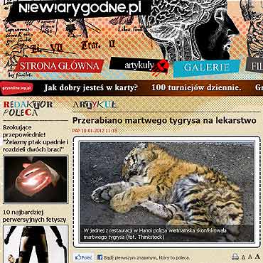 Przerabiano martwego tygrysa na lekarstwo