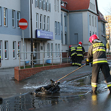 Skutek wichury – rybki na ulicach