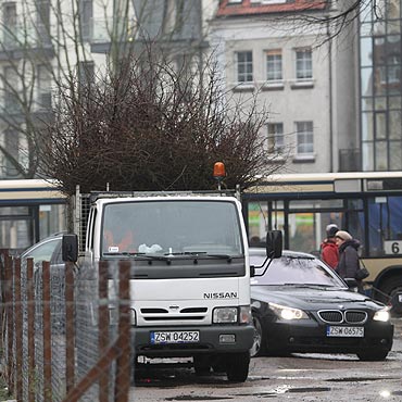 Przycili drzewa przy Armii Krajowej