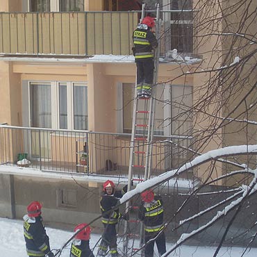 Brawa dla straakw. Ratuj ludzi i zwierzaki 