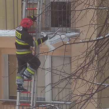 Brawa dla straakw. Ratuj ludzi i zwierzaki 