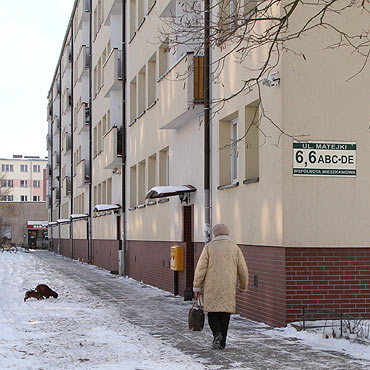 Wicej pluskiew w bloku