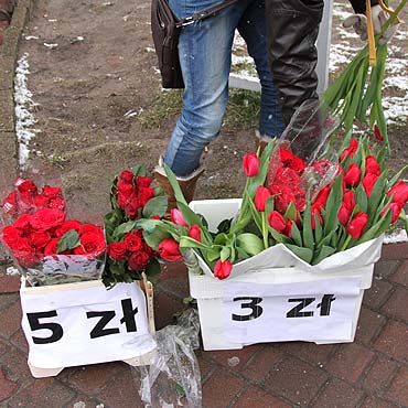 Piękne kwiaty to wciąż najlepszy prezent na Dzień Kobiet